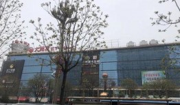 金台大道最新爆料,揭秘神秘项目背后的故事